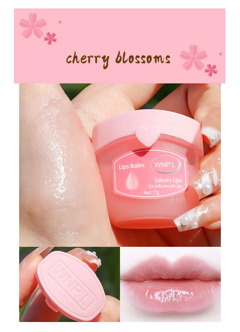 Small Size New Moisturizing Lip Care Set – Natural Plant-Based Lip Care for Soft, Cracked-Free Lips