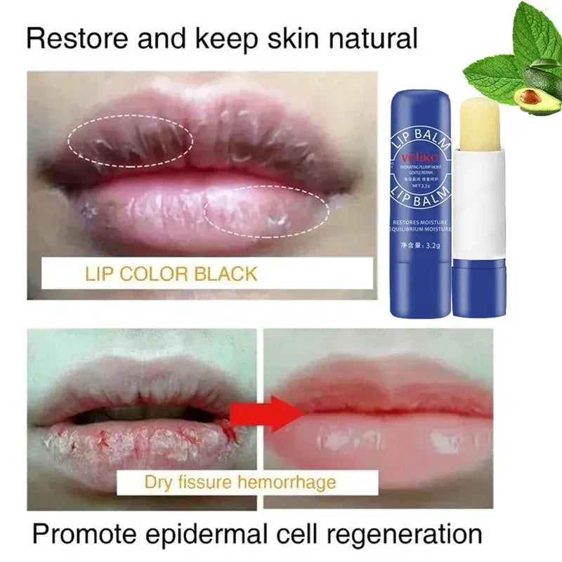 Nourishing Lip Balm – Moisturizing Formula with Vitamin E, Honey & Chamomile for Soft, Hydrated Lips All Day