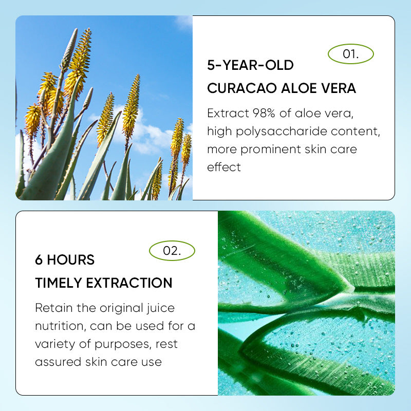 Aloe Vera Lip Balm with Vitamin E & Squalane – Deeply Hydrating, Moisturizing & Brightening Care